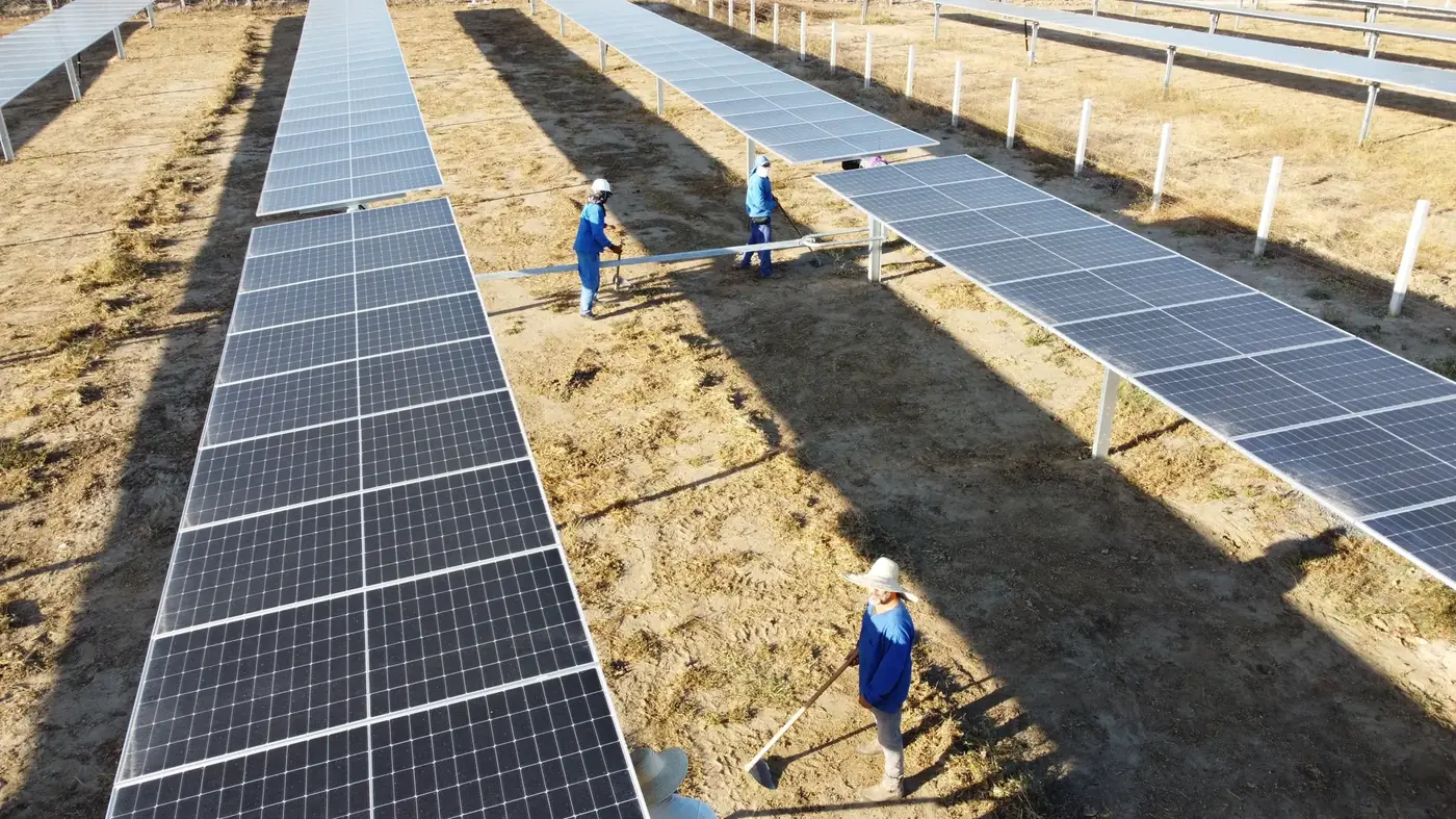 Equipe da Tera trabalhando entre os painéis de uma usina solar